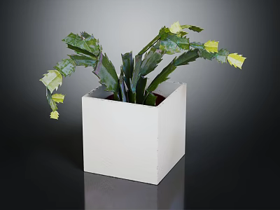 Cactus Plant with Green Stems and Yellow Flowers in White Square Pot 3d model