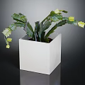 Cactus Plant with Green Stems and Yellow Flowers in White Square Pot