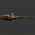 Tropical Guppy Fish Displaying Vibrant Yellow Green Black Patterned Fins And Body