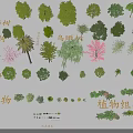 Various Arbor Types For Main Building Road And Garden Landscape Design 3d model