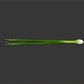 Fresh Green Onion With Green Leaves And White Bulb On Gray Background