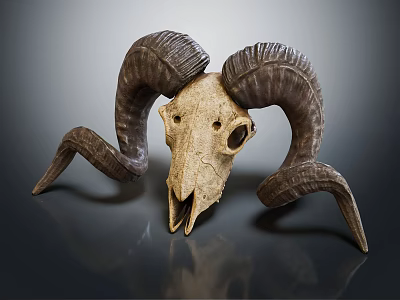 Decorative Ornament Set with Ram Skull and Curved Horns Vintage Natural Style for Home Decor 3d model