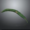 Long Fresh Green Bean With Small Square Label On Gray Shiny Surface