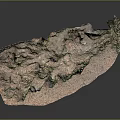 Miniature Natural Landscape With Irregular Terrain Dirt Green Moss Wooden Stumps And Undulating Surface