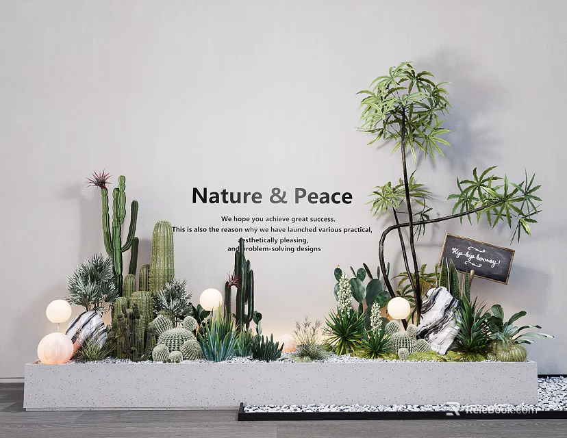 Succulent Plants Decorative Arrangement with Cacti Nature Peace Vibe Light Balls and Stones 3d model 