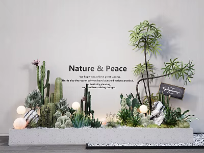 Succulent Plants Decorative Arrangement with Cacti Nature Peace Vibe Light Balls and Stones 3d model
