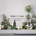 Succulent Plants Decorative Arrangement with Cacti Nature Peace Vibe Light Balls and Stones