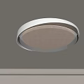 Modern Round Flush Mount Ceiling Light With White Lampshade And Metal Frame 3d model