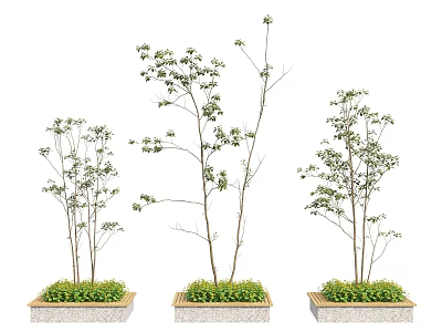 Rectangular Stone Tree Planters With Green Trees And Lush Plants 3d model