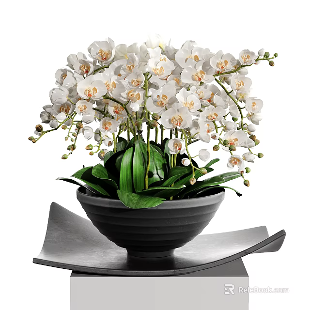Potted Bonsai Plant With White Flowers And Green Leaves In Black Pot 3d model 