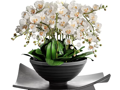 Potted Bonsai Plant With White Flowers And Green Leaves In Black Pot 3d model