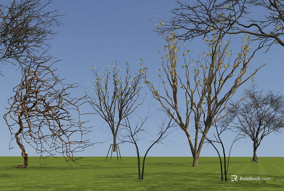 Trees with some white flowers and bare branches under blue sky on green grass 3d model 