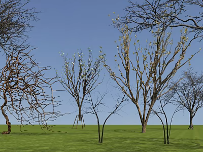 Trees with some white flowers and bare branches under blue sky on green grass 3d model