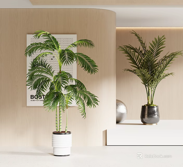 Decorative Indoor Potted Plants with White and Gray Pots on Light Wooden Wall Shelf 3d model 