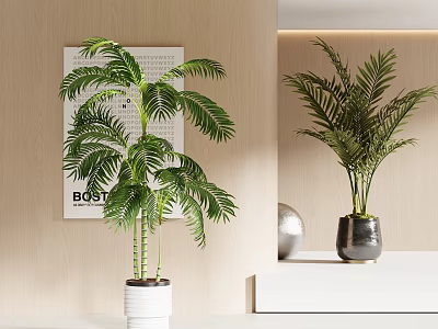 Decorative Indoor Potted Plants with White and Gray Pots on Light Wooden Wall Shelf 3d model