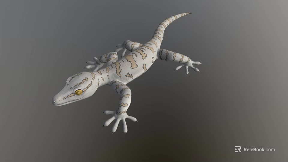 3D Gecko Game Movie Character With White Gray Pattern And Yellow Eyes 3d model 