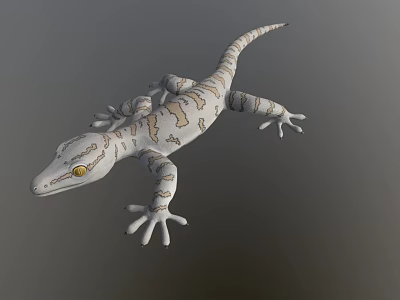 3D Gecko Game Movie Character With White Gray Pattern And Yellow Eyes 3d model
