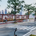 Municipal Road With Street Trees Parked Bicycles Cyclists And Urban Skyline