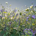 Lush Shrub With Purple And White Flowers And Green Leaves Under Blue Sky