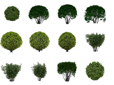 Modern shrubs 3d model Modern shrubs 3d model