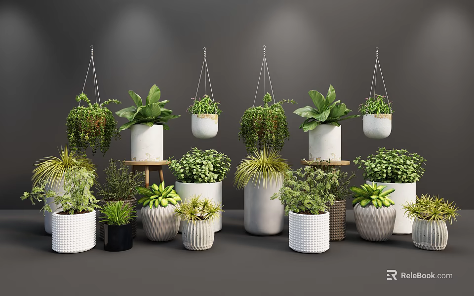 Bonsai Potted Plants Display With Hanging Varieties On Stands And Decorative Pots 3d model 