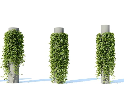 Green Vines Covering Concrete Pillars With Lush Foliage And Vertical Growth 3d model