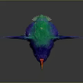 Vibrant Colorful Flying Bird With Blue Purple Green Feathers Orange Beak And Feet