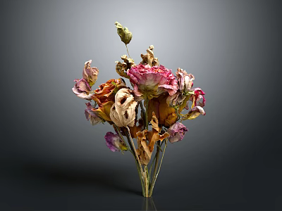 Dried Flowers Bouquet With Various Pink Orange Purple Withered Petals On Dark Background 3d model