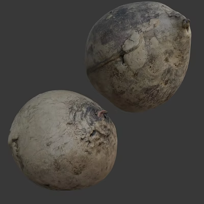 Farm Fresh Unwashed Root Vegetables with Natural Soil and Rough Surface Texture Details 3d model