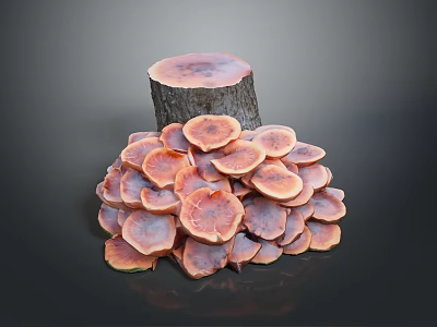 Cluster Of Pinkish Mushrooms Growing On Woody Tree Stump Background 3d model