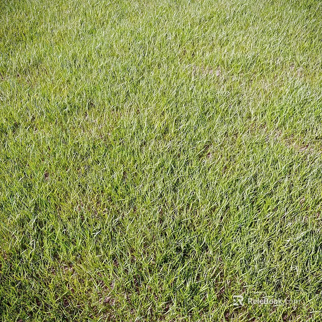 Decorative Ornament Set Arrangement On Lush Green Grass Lawn Area 3d model 