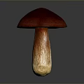 Fresh Edible Mushroom with Vibrant Red Cap and Brown Stem