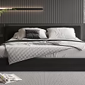 Modern Black Double Bed with Pillows Blanket Green Plant and Floor Lamp