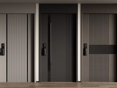 Modern Black Security Door With Vertical Stripes And Black Door Handles In Indoor Entrance 3d model