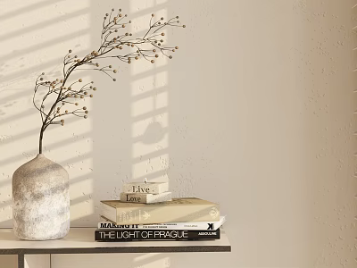 Minimalist Decorative Ornament Set with Ceramic Vase Twig and Books on Tabletop Against Shadowed Wall 3d model