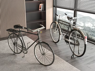 Modern Indoor Space With Two Bicycles 3d model
