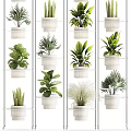 Indoor Potted Plants On White Multi Tiered Shelves With Diverse Green Foliage