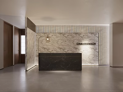 Modern Reception Area With Marble Wall And Black Desk Elegant Lighting 3d model