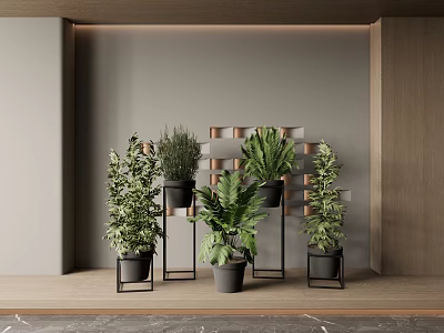 Modern Interior Decor With Multiple Bonsai Potted Plants And Black Planters On Shelf 3d model