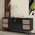Black Entryway Console Cabinet With Rattan Panels Golden Handles And Decorative Vase Tray Green Plant