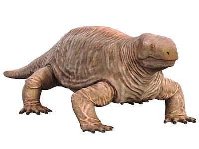 Detailed Realistic Reptile Creature With Wrinkled Brown Skin And Sturdy Limbs 3d model