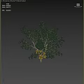 Garden Ornament Tree With Lush Green Leaves Yellow Fruits And Twiggy Branches