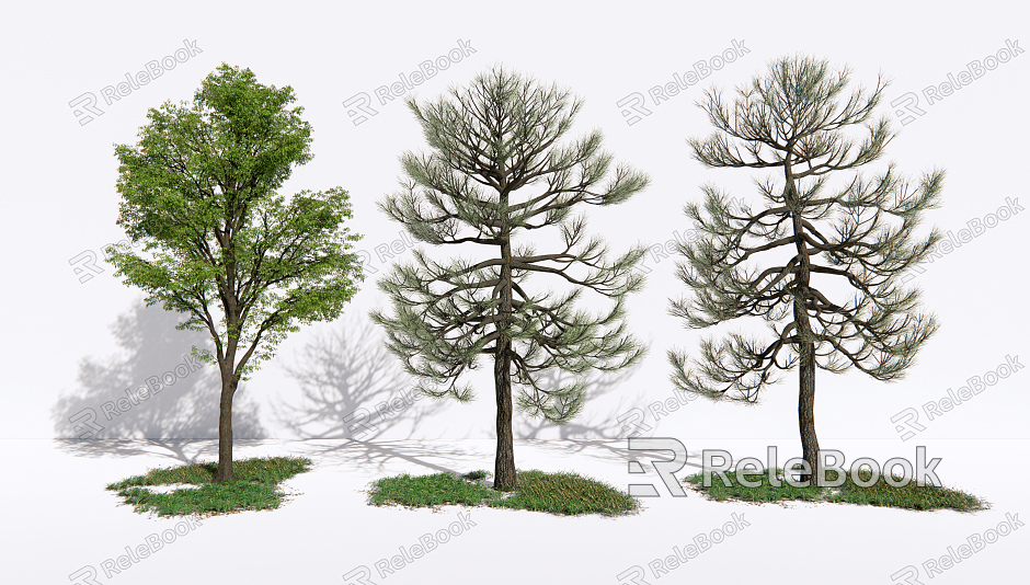 Modern Tree Landscape Pine model