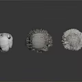 Three Realistic Organ Models With Detailed Hair Structures On White Background