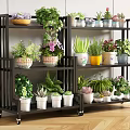 Multi tiered Mobile Plant Stand with Various Potted Greenery and Flowers for Indoor Garden Accents
