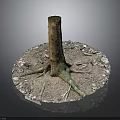 Wooden Tree Stump With Exposed Roots Surrounded By Stone Gravel And Soil