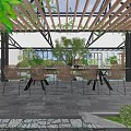 Indoor Landscape Design With Wooden Pergola Green Plants Dining Table Chairs And Natural Light