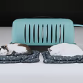 Two Cats Sleeping On Patterned Mats Next To Open Light Blue Pet Carrier 3d model