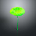 Vibrant Green Lotus Leaf Plant With Long Stem On Smooth Gray Background Surface