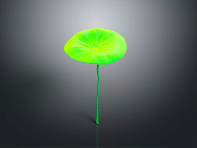 Vibrant Green Lotus Leaf Plant With Long Stem On Smooth Gray Background Surface 3d model